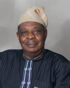 mr segun olusanya